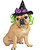 Green Hair Witch Pet Hat