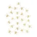 Glow in the Dark Spiders - 18 Pack at Spirit Halloween
