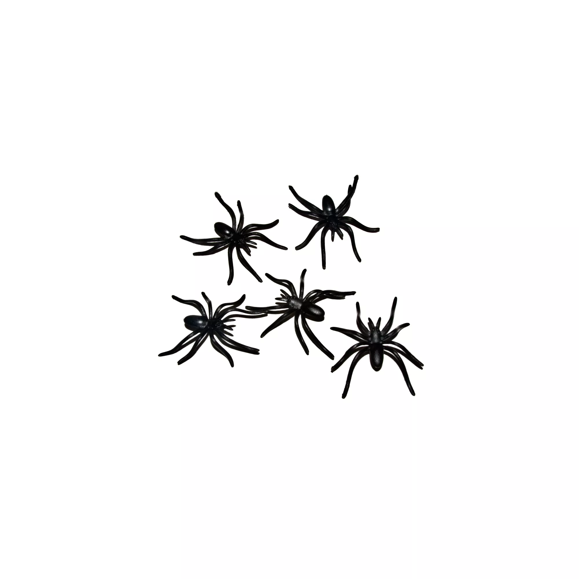 Black Spider Pack - 30 Pack at Spencer's