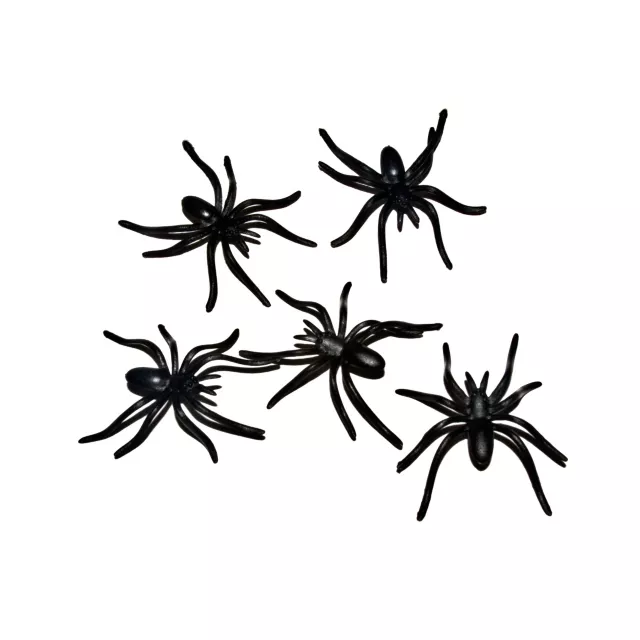 Black Spider Pack - 30 Pack at Spencer's
