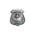 Deluxe Metal Police Badge at Spirit Halloween