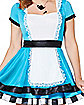 Adult Charming Alice Costume