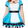 Adult Charming Alice Costume at Spirit Halloween