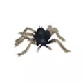 Two Tone 28 Inch Hairy Spider at Spirit Halloween