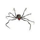 6 ft Light Up Cobweb Spider - Decorations - Spirithalloween.com