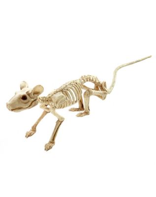 Best Skeleton | Halloween Skeleton for 2018 - Spirithalloween.com