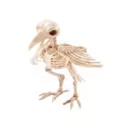 Skeleton Crow at Spirit Halloween