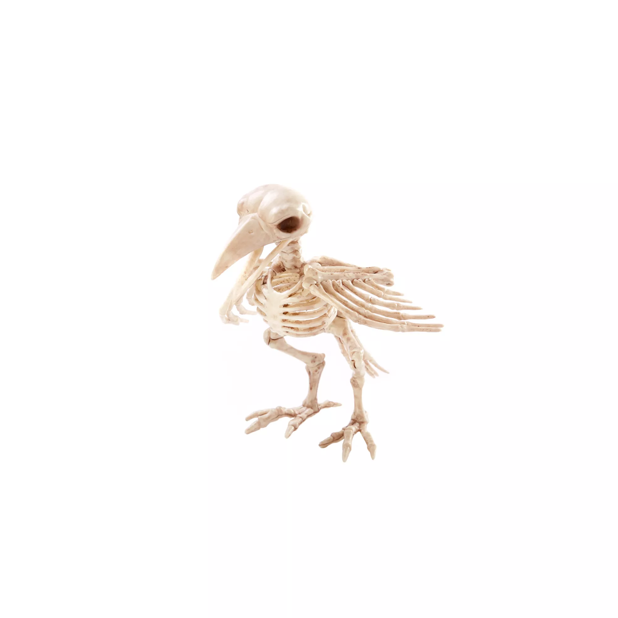 Skeleton Crow at Spirit Halloween