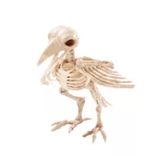 Skeleton Crow at Spirit Halloween