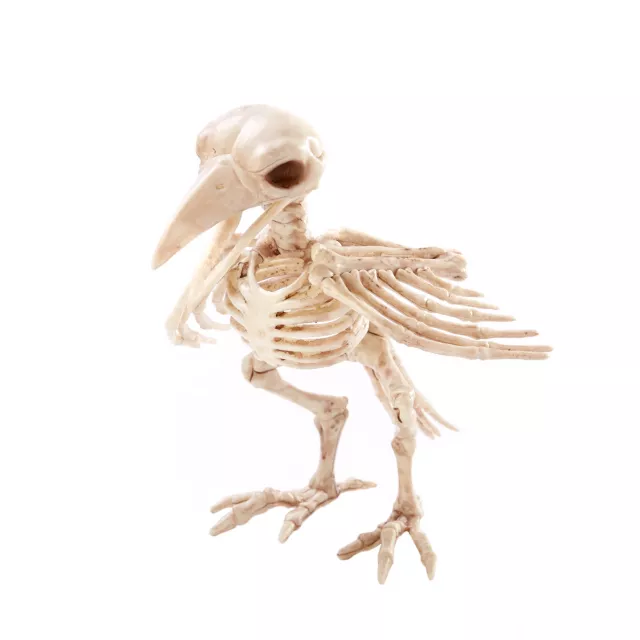 Skeleton Crow at Spirit Halloween