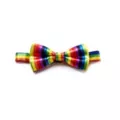 Clown Rainbow Bowtie at Spirit Halloween