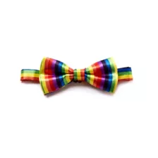 Clown Rainbow Bowtie at Spirit Halloween