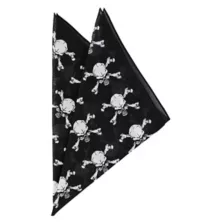Skull Pirate Bandana at Spirit Halloween