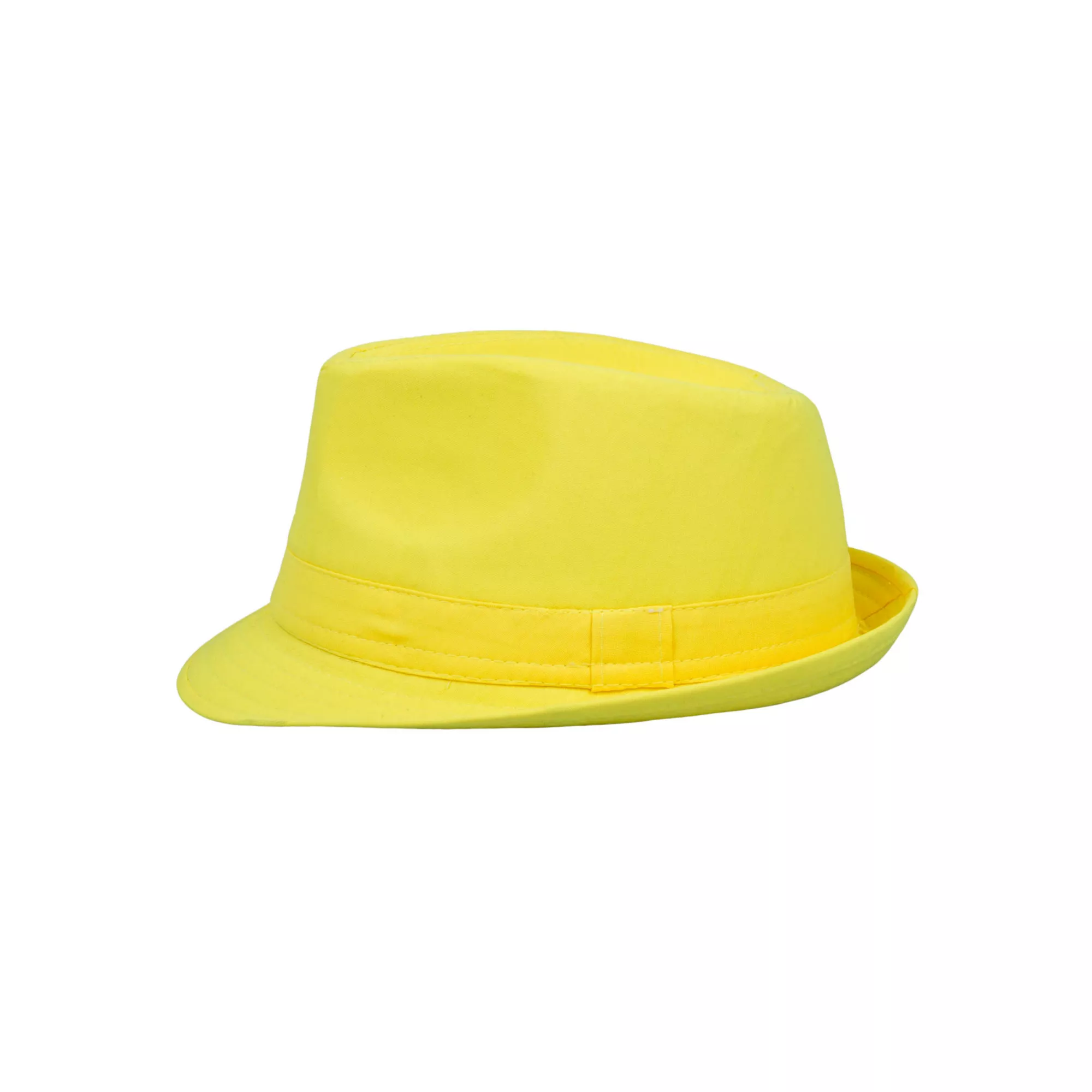 Colored Fedora Hat at Spirit Halloween