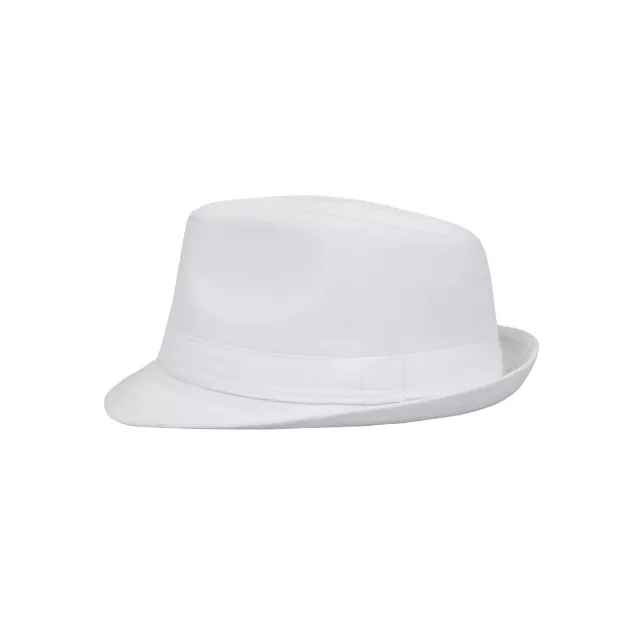 Colored Fedora Hat at Spirit Halloween