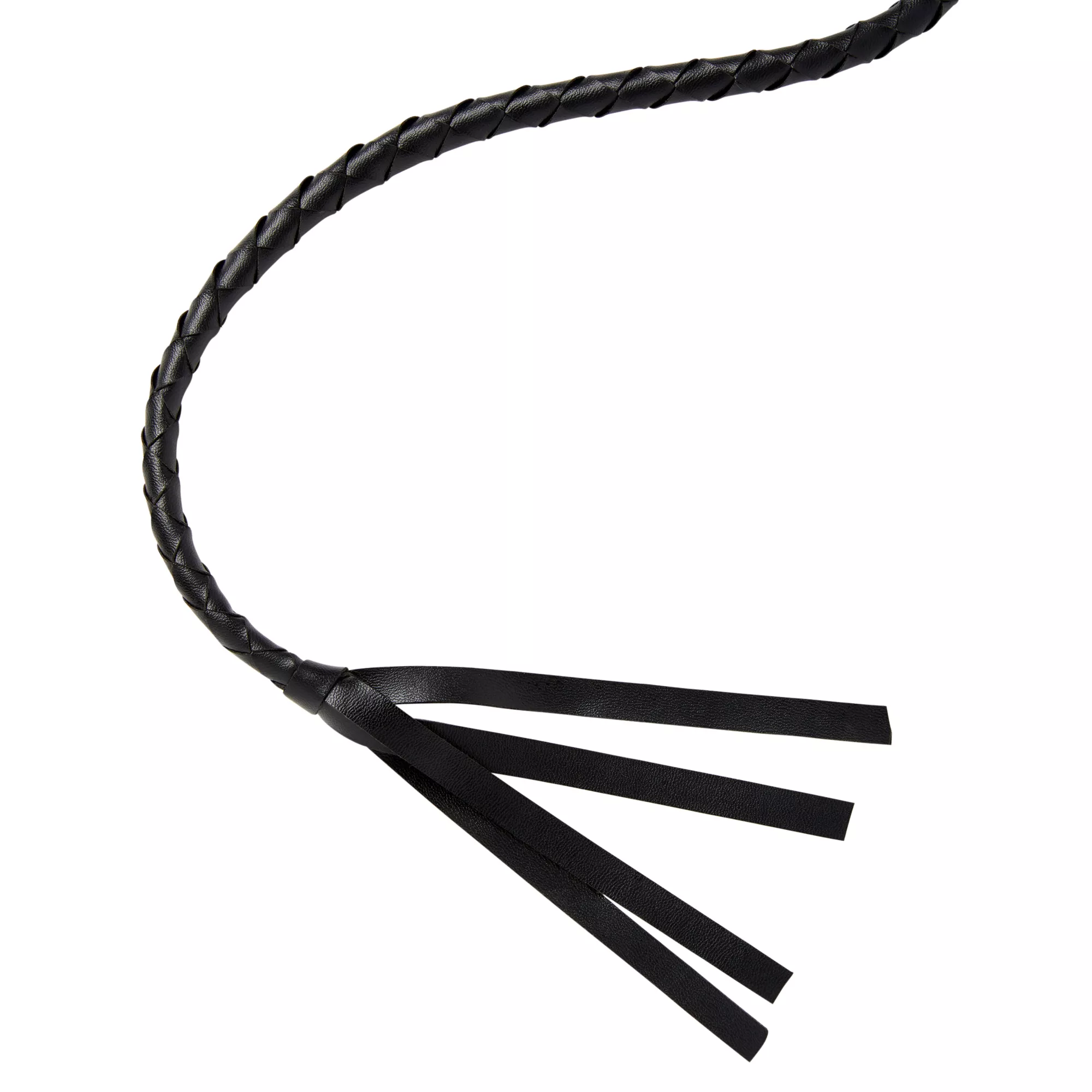 Braided Whip at Spirit Halloween