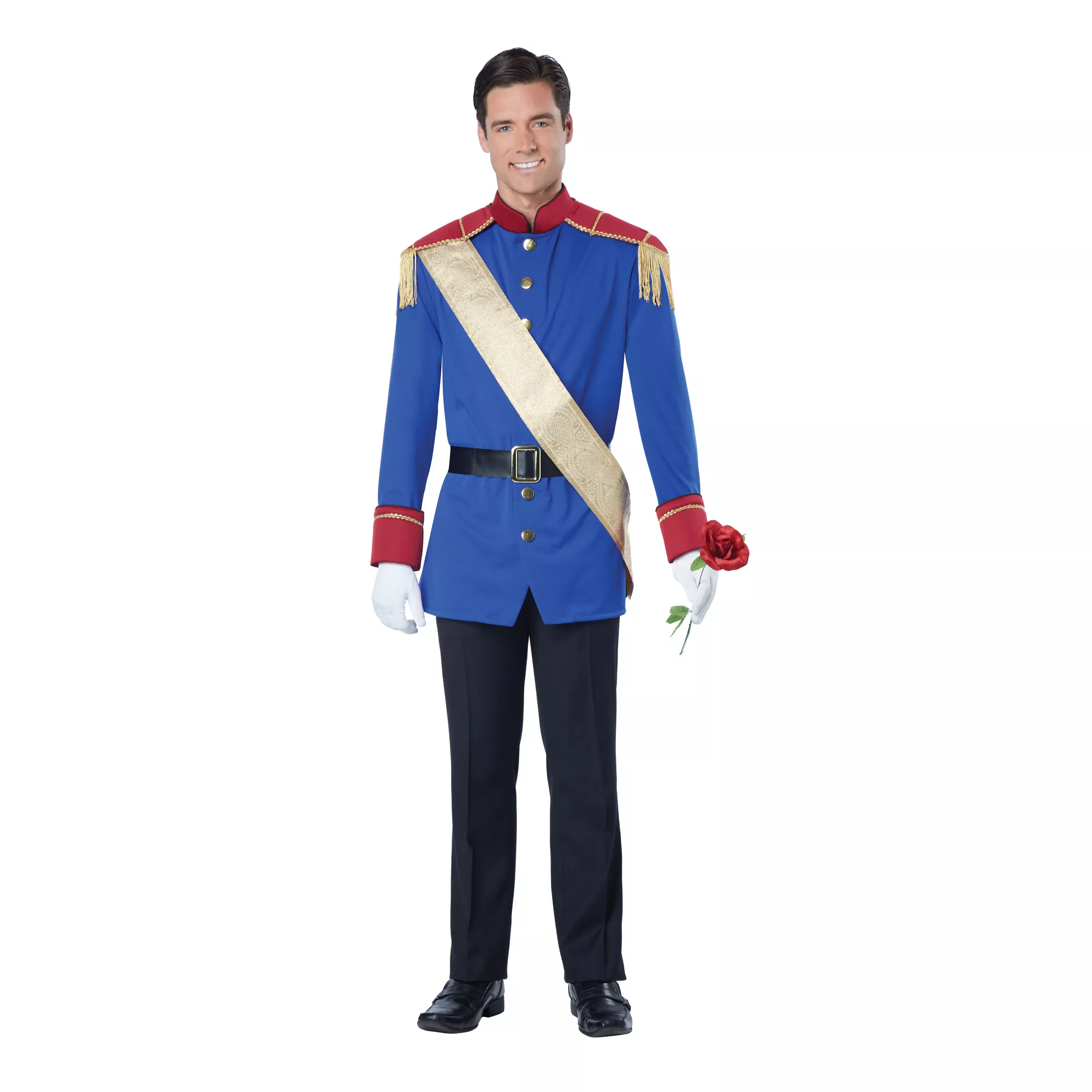 Storybook Prince Mens Costume at Spirit Halloween
