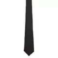 Basic Necktie at Spirit Halloween
