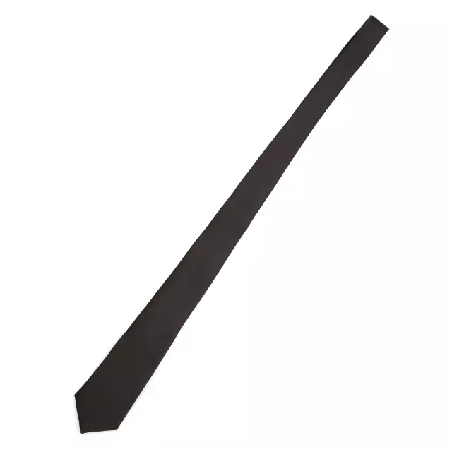 Basic Necktie at Spirit Halloween
