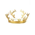 Gold King Crown at Spirit Halloween