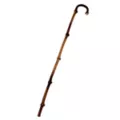 Walking Cane at Spencer's