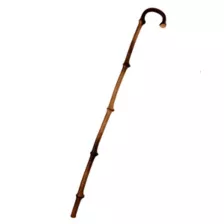 Walking Cane at Spencer's