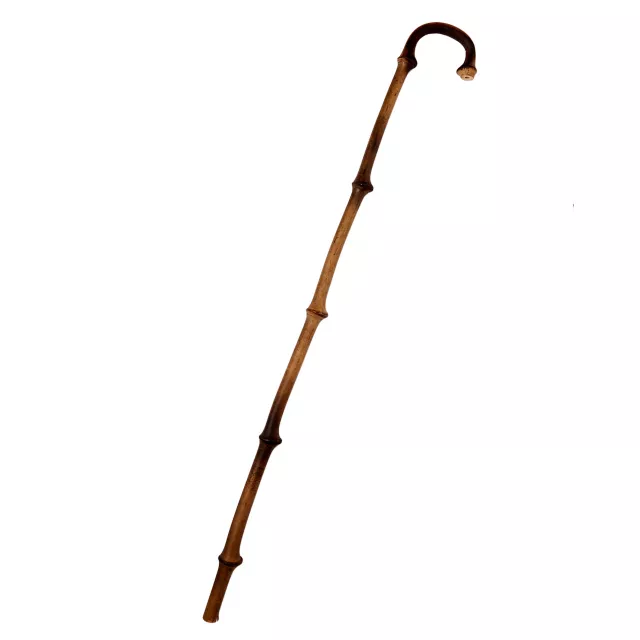 Walking Cane at Spencer's