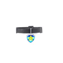 Light-Up Chase Collar - PAW Patrol at Spencer's