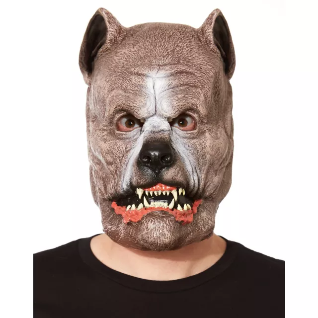 Pit Bull Dog Mask at Spirit Halloween