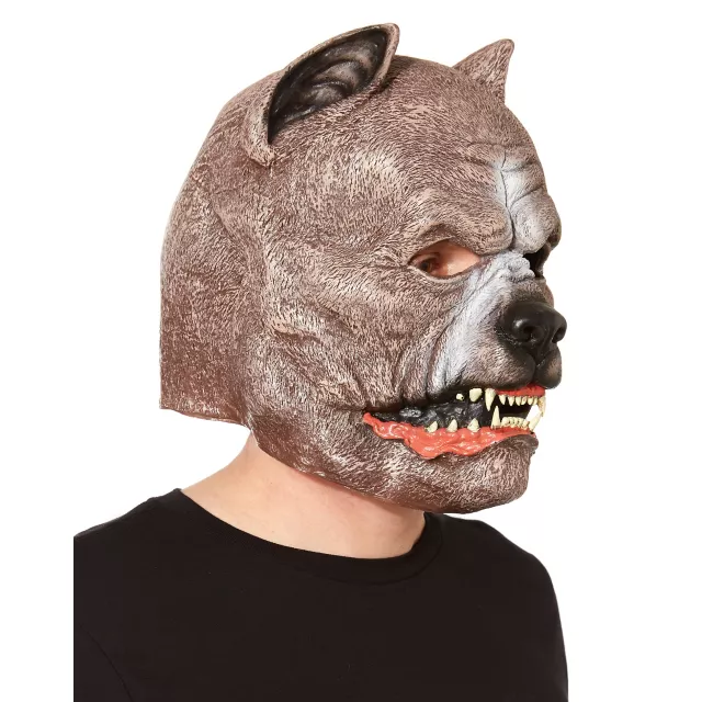 Pit Bull Dog Mask at Spirit Halloween