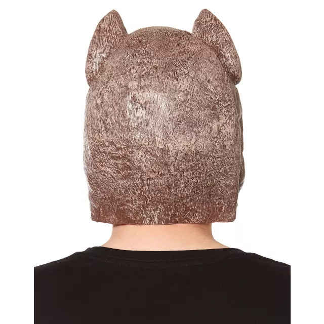 Pit Bull Dog Mask at Spirit Halloween