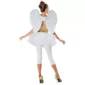 Gold Trimmed Angel Wings at Spirit Halloween