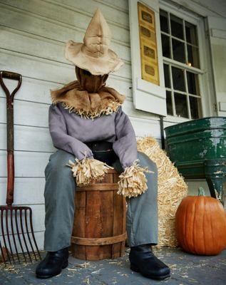 Scarecrow Halloween