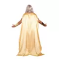 Adult Zeus Costume at Spirit Halloween