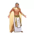 Adult Zeus Costume at Spirit Halloween