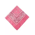 Pink Bandana at Spirit Halloween