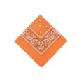 Adult Orange Paisley Bandana at Spirit Halloween