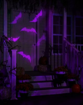 Bat Whirl-A-Motion Lights