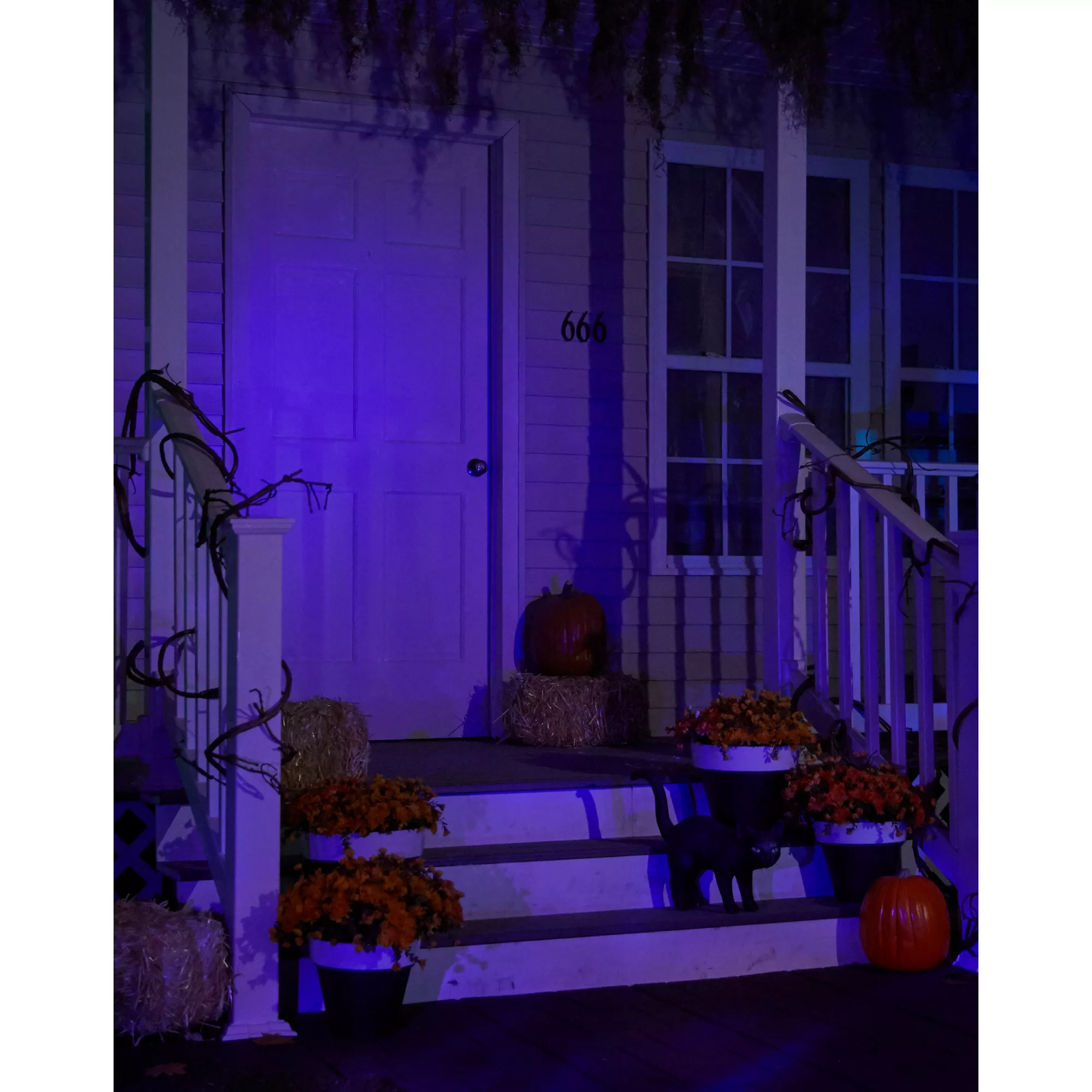 Black Light Strobe Spotlight at Spencer's