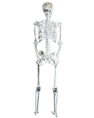 5 Ft Poseable Light Up Chrome Skeleton - Decorations
