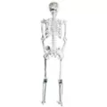 5 Ft Poseable Light-Up Chrome Skeleton - Decorations at Spirit Halloween