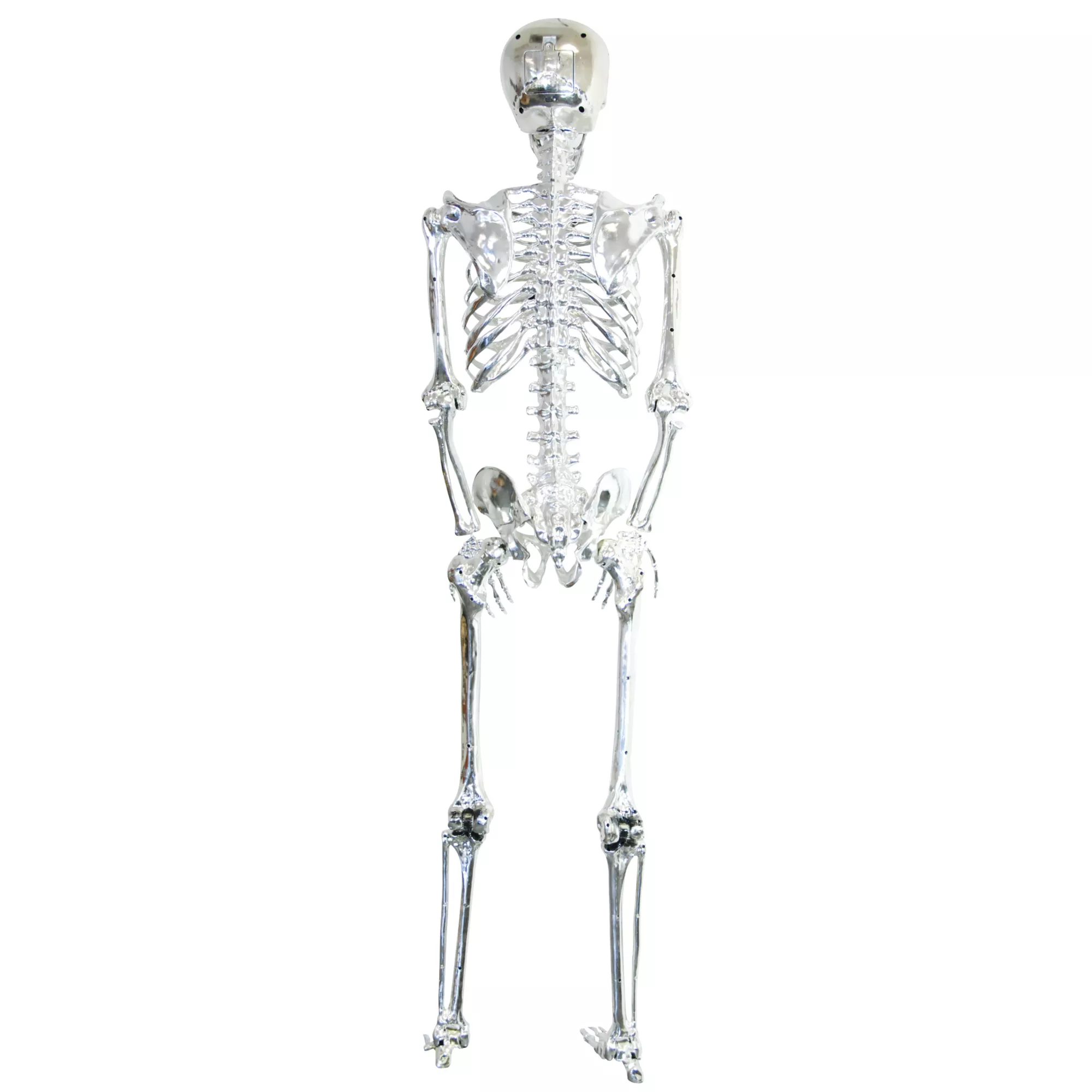 5 Ft Poseable Light-Up Chrome Skeleton - Decorations at Spirit Halloween