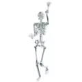 5 Ft Poseable Light-Up Chrome Skeleton - Decorations at Spirit Halloween