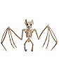 22.5 Inch Bat Skeleton