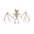 22.5 Inch Bat Skeleton at Spirit Halloween
