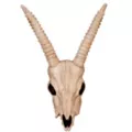 Gazelle Skull Decoration at Spirit Halloween