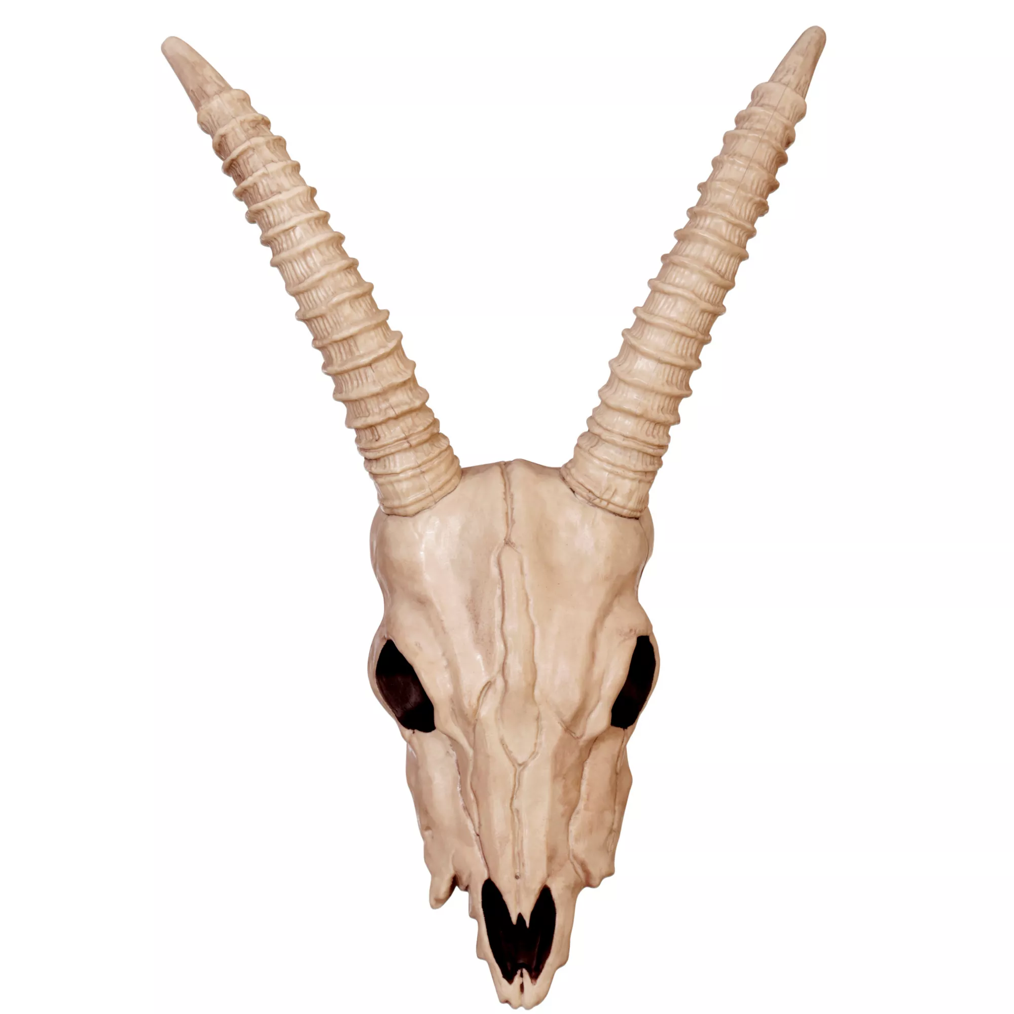 Gazelle Skull Decoration at Spirit Halloween