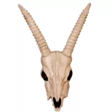 Gazelle Skull Decoration at Spirit Halloween