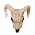 Ram Skull Decoration at Spirit Halloween