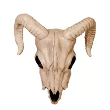 Ram Skull Decoration at Spirit Halloween